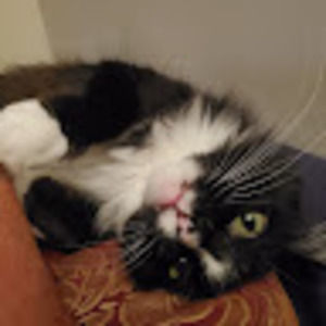 Meet your Posher, Raquel